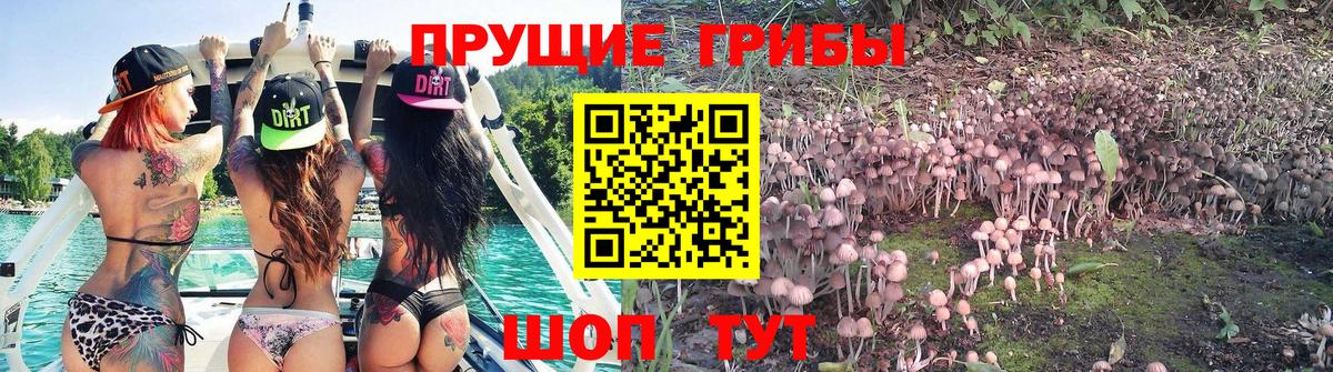 A-PVP Будённовск
