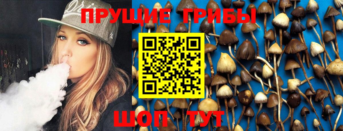 Галлюциногенные грибы Psilocybe  цены   Будённовск  Вход с VPN  Псилоцибиновые грибы Psilocybine cubensis 